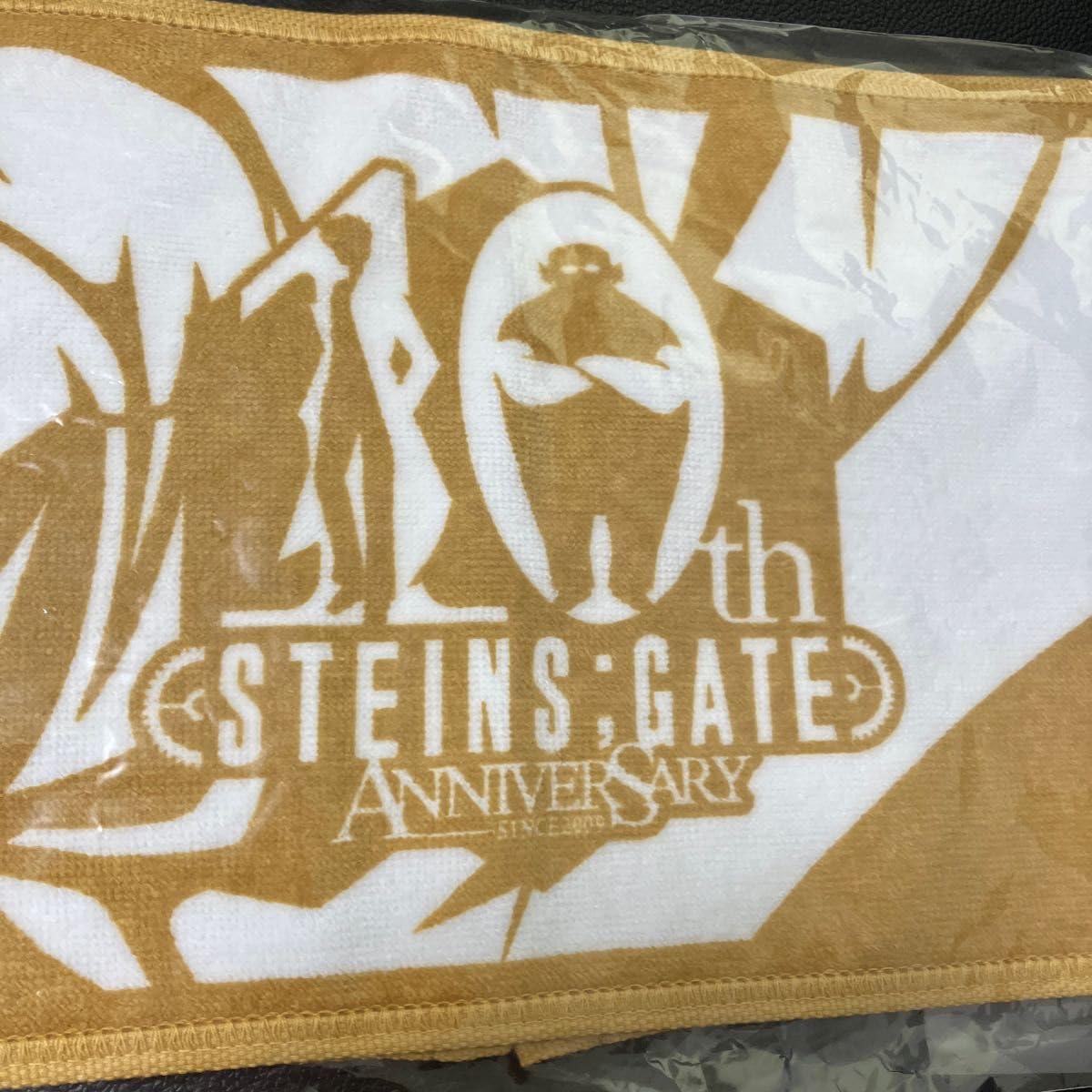 Amazon.co.jp: シュタインズゲート STEINS；GATE 10th
